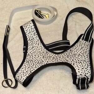 Black and White Polka Dot Dog Harness and Leash